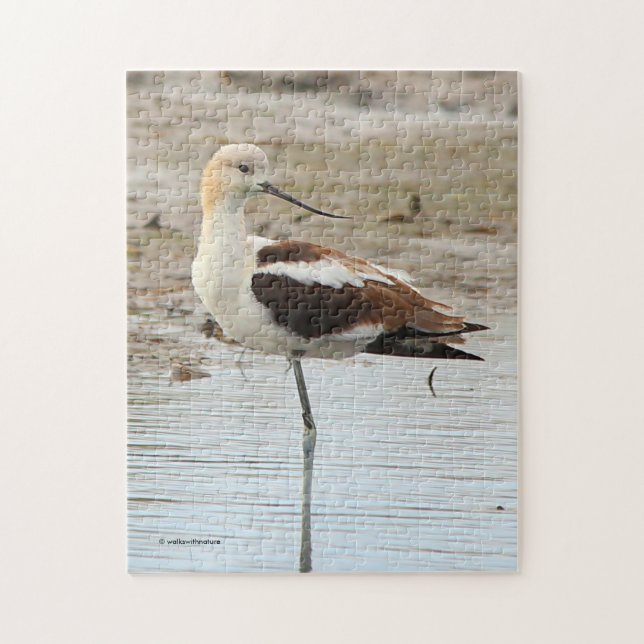 Puzzle Étonnant oiseau à pattes à la plage américain Avoc (Vertical)