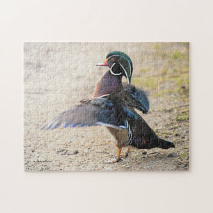 Puzzle Étonnante canard à bois battant ailes