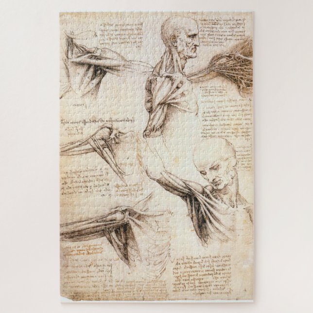 Puzzle Études anatomiques de l'épaule-Leonardo da E1 (Vertical)