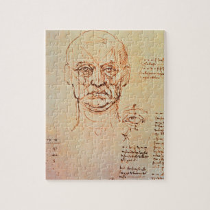Puzzle Études des proportions du visage et de l'oeil, 14