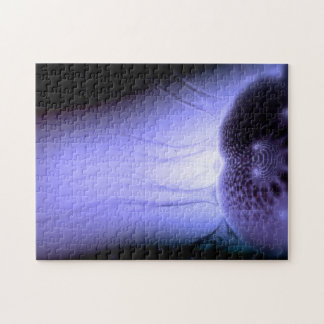 Puzzle Europa de observation déconcerter #1