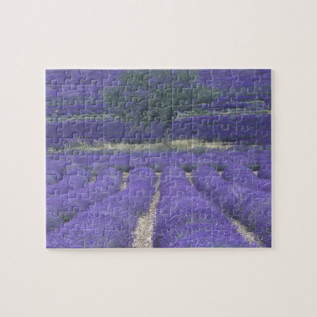 Puzzle Europe, France, Provence, Sault, Champs de Lavande (Horizontal)