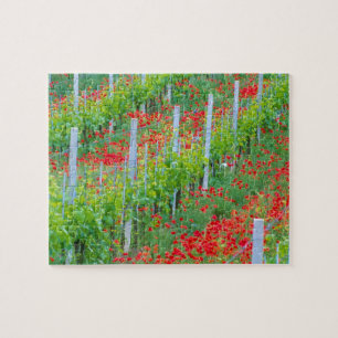 Puzzle Europe, Italie, Toscane. Coquelicots rouges coloré