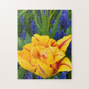 Puzzle Europe, Pays-Bas, Lisse. Tulipes