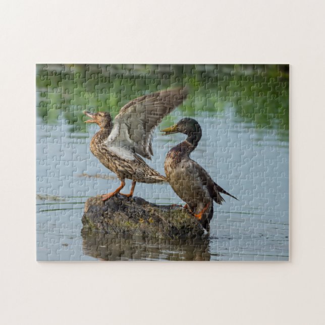 Puzzle Excusez-moi (Horizontal)