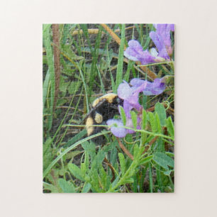Puzzle F2 Abee sauvage sur Fleur sauvage pourpre
