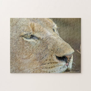 Puzzle Face de la lionne