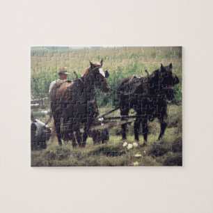 Puzzle Faire du foin avec les chevaux