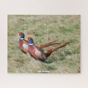 Puzzle Faisans sauvages