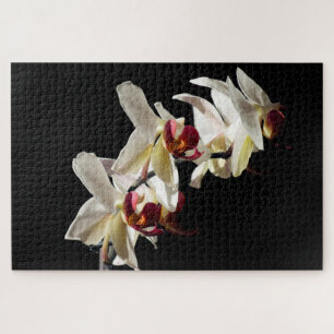 Puzzle Faits saillants floraux des orchidées de Phalaenop