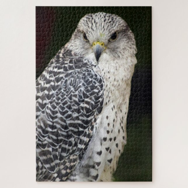 Puzzle Falcon (Vertical)