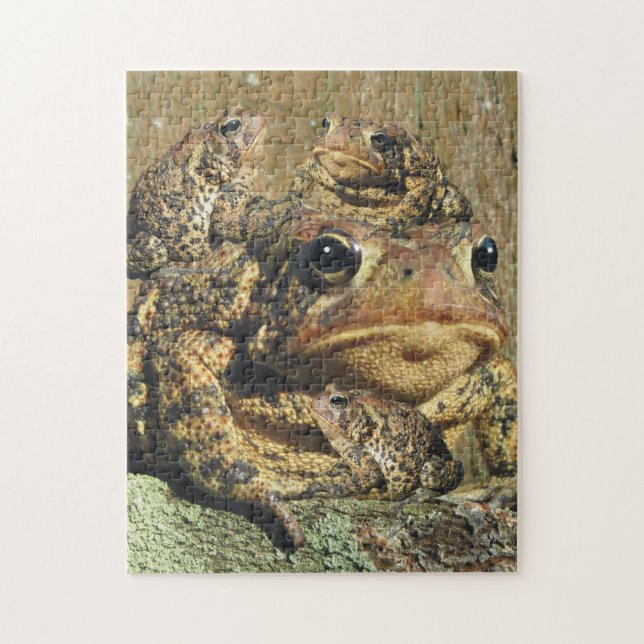 Puzzle Famille de crapaud (Vertical)