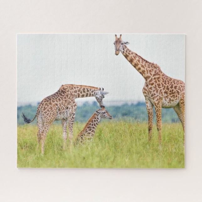 Puzzle Famille de girafe des images | de Getty (Horizontal)