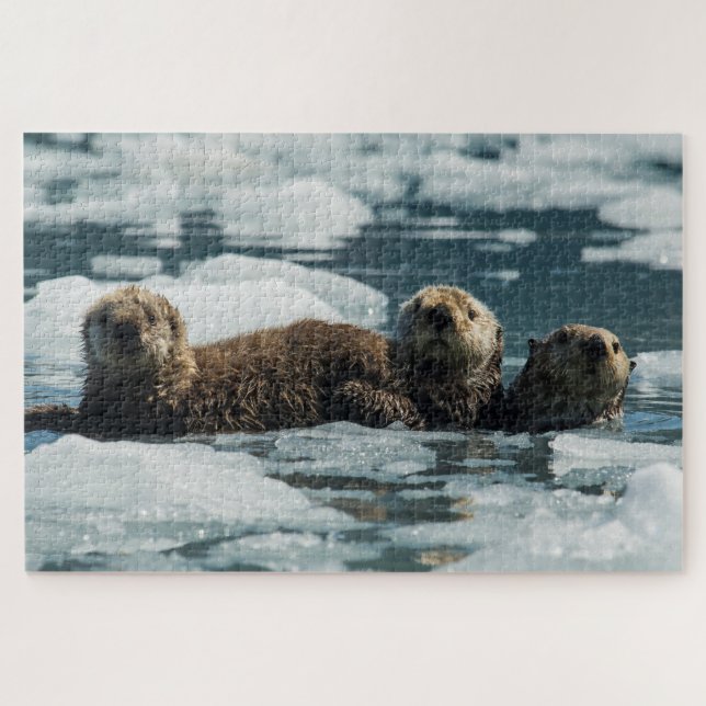 Puzzle Famille de loutre de mer (Horizontal)