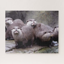 Famille de Otters