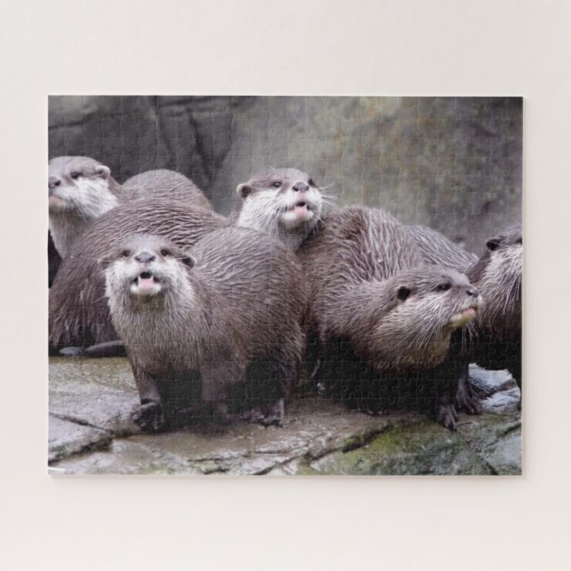 Puzzle Famille de Otters (Horizontal)