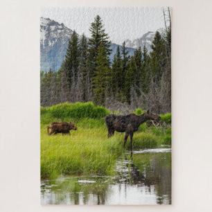 Puzzle Famille Moose