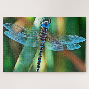 Puzzle Fantasy Dragonfly
