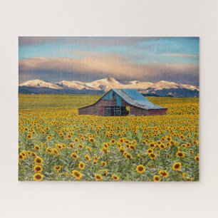 Puzzle Farms   Field