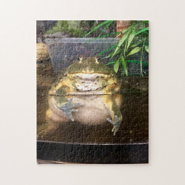 Puzzle Fat Toad Todd (Vertical)