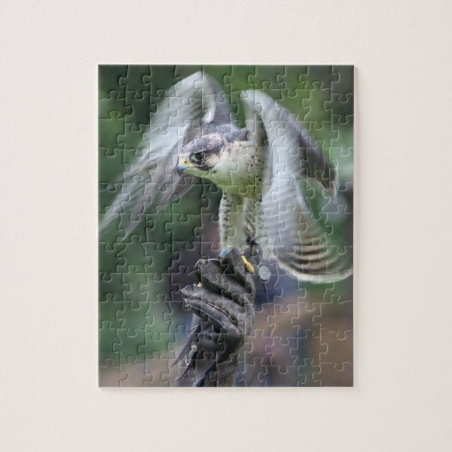 Puzzle Fauconnerie (Vertical)