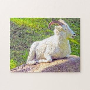 Puzzle Faune du Canada. Mouflons d'Amérique.