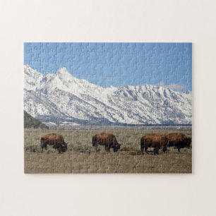 Puzzle Faune Monts Bison Photo Neige