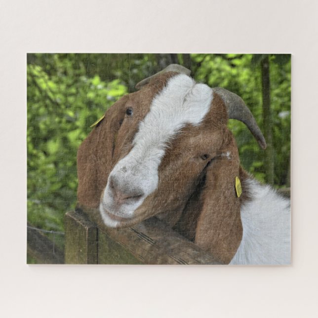 Puzzle Ferme de chèvres à 4 H (Horizontal)