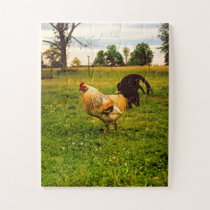 Puzzle Ferme de Coq Coloré Photo de Vie