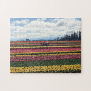 Puzzle Ferme de tulipes Wooden Shoe, Woodburn, Oregon