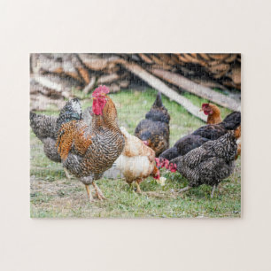 Puzzle Ferme Familiale Des Poulets Et Des Poules Sauvages