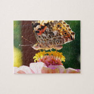 Puzzle Fermer le papillon sur une fleur rose de Zinnia