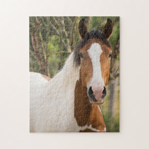 Puzzle Fermer un Cheval de Peinture