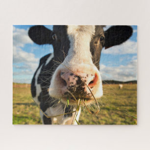 Puzzle Fermes   Vache Holstein Chewing