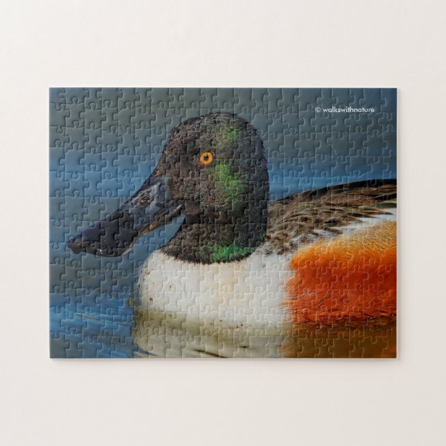 Puzzle Fermeture d'un beau canard à chaussures nordique (Horizontal)