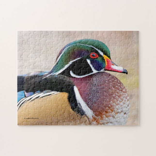 Puzzle Fermeture d'un canard à bois étonnant (Horizontal)