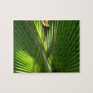 Puzzle Fermeture photo de la scie Palmetto