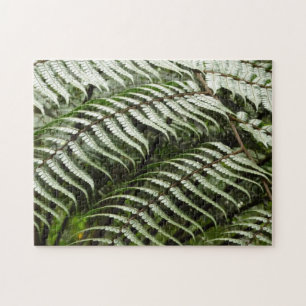 Puzzle Fern Fronds II Dark Green Nature
