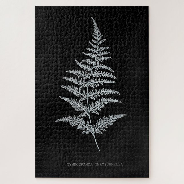 Puzzle Fern - Gymnogramma Chrysophylla. Effet de rayons X (Vertical)