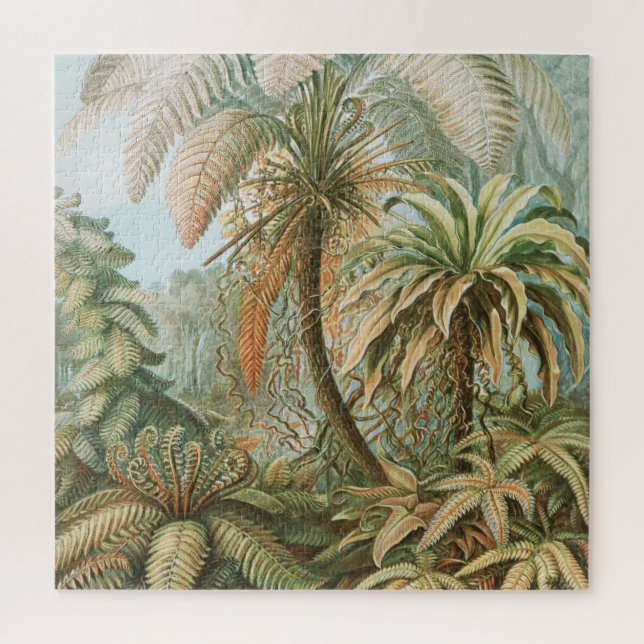 Puzzle Ferns, Filicinae Laubfarne par Ernst Haeckel (Vertical)