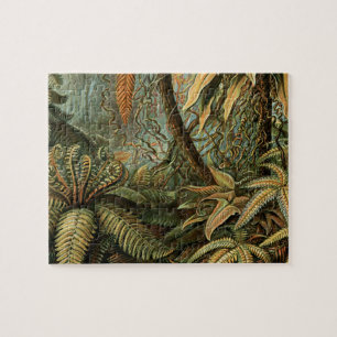 Puzzle Ferns Palm Tree Antique Botanical Ferns Art