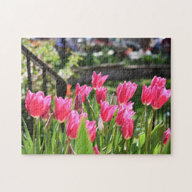 Puzzle Festival Tulip Fleur Nature Photographie Jardin (Horizontal)