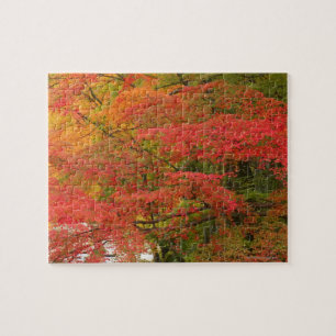 Puzzle Feuillage d'automne japonais