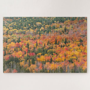 Puzzle Feuillage d'automne Péninsule de Keweenaw, Michi