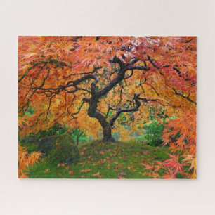 Puzzle Feuillage d'automne sur Portland Jardin japonais É