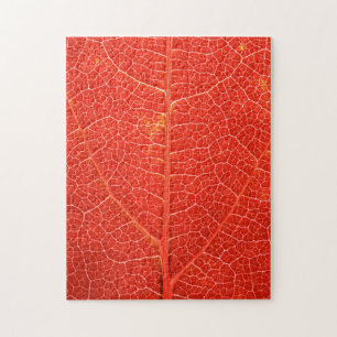 Puzzle Feuille automnale