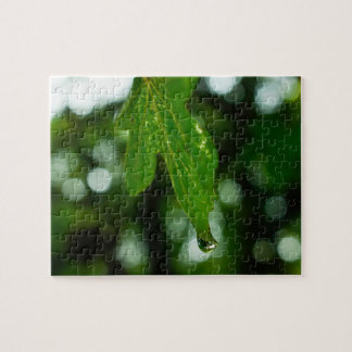 Puzzle Feuille avec goutte d'eau
