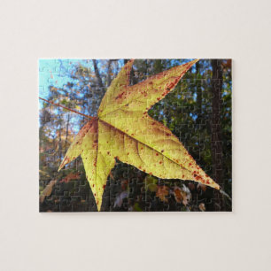 Puzzle Feuille de Liquidambar Glowing dans la Forêt