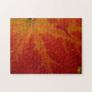 Puzzle Feuille d'érable rouge Abstraite Automne Photograp