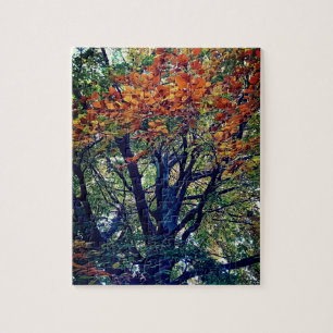 Puzzle Feuille orange